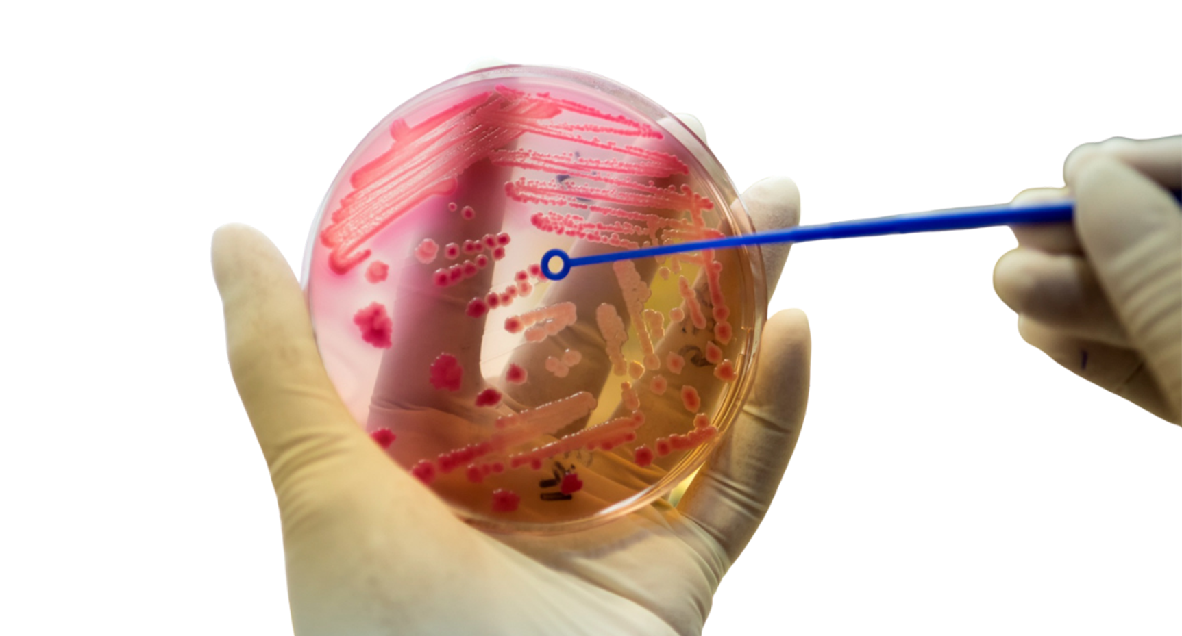 Advanced Treatment Icon